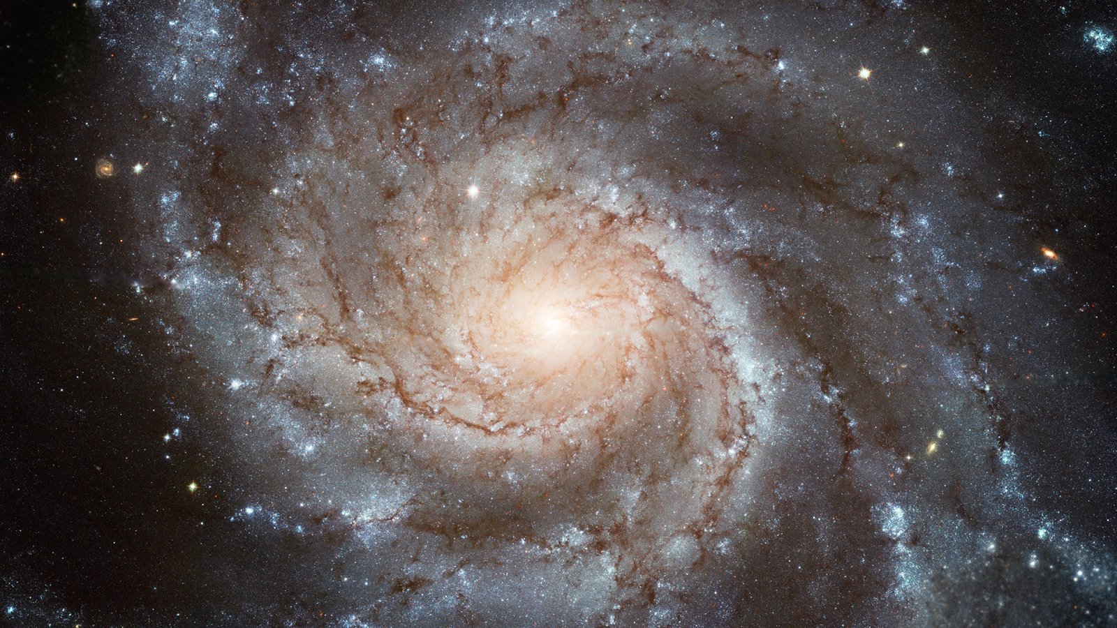 Galaxy Secondary Plane