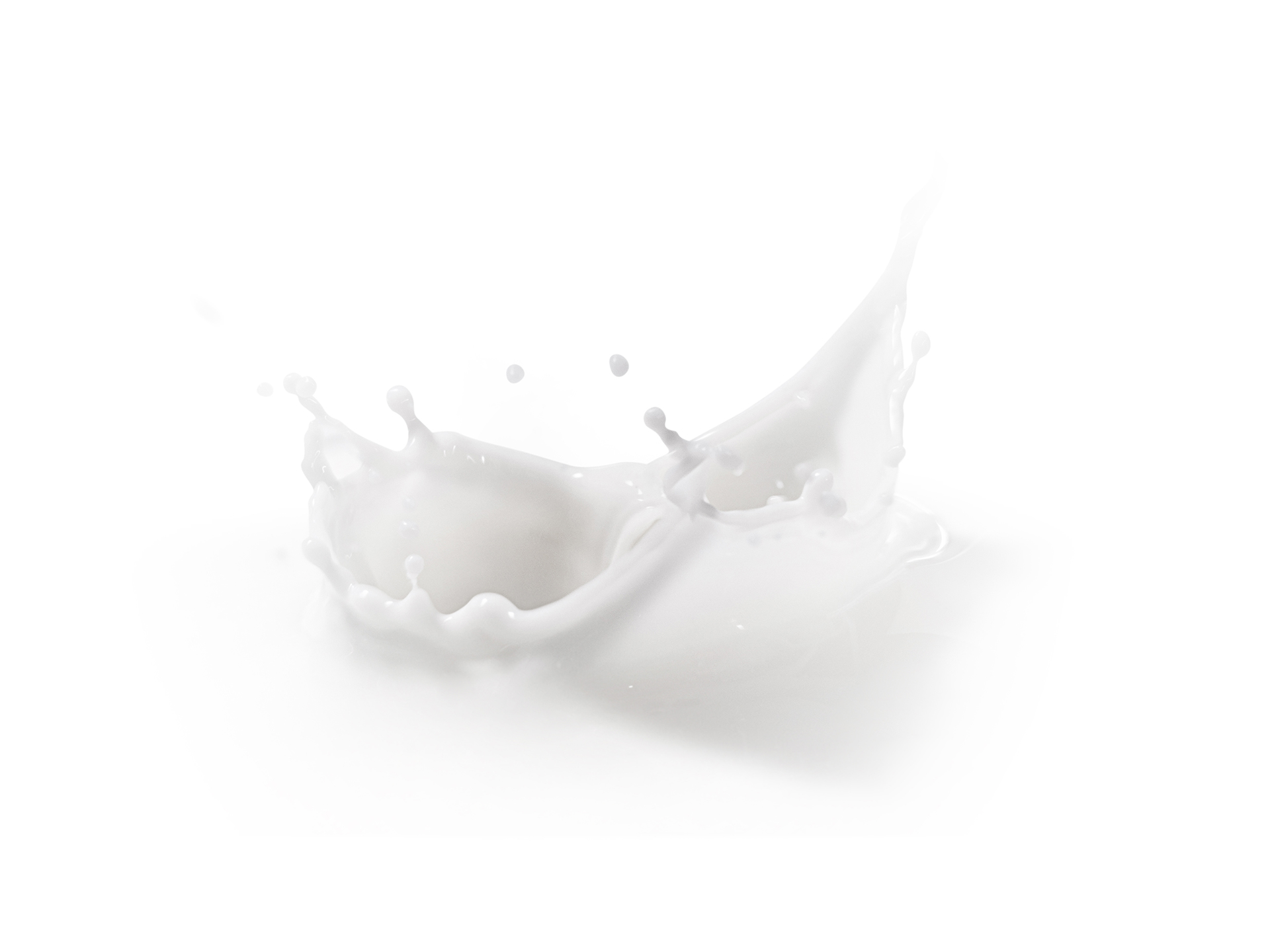 NUTRITION Food Galleria | International selection of Milk