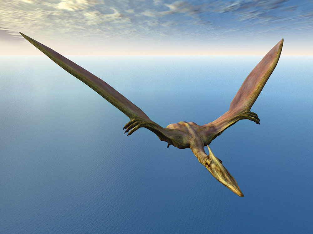 Quetzalcoatlus