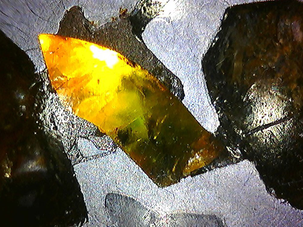 Meteorite Pallasite