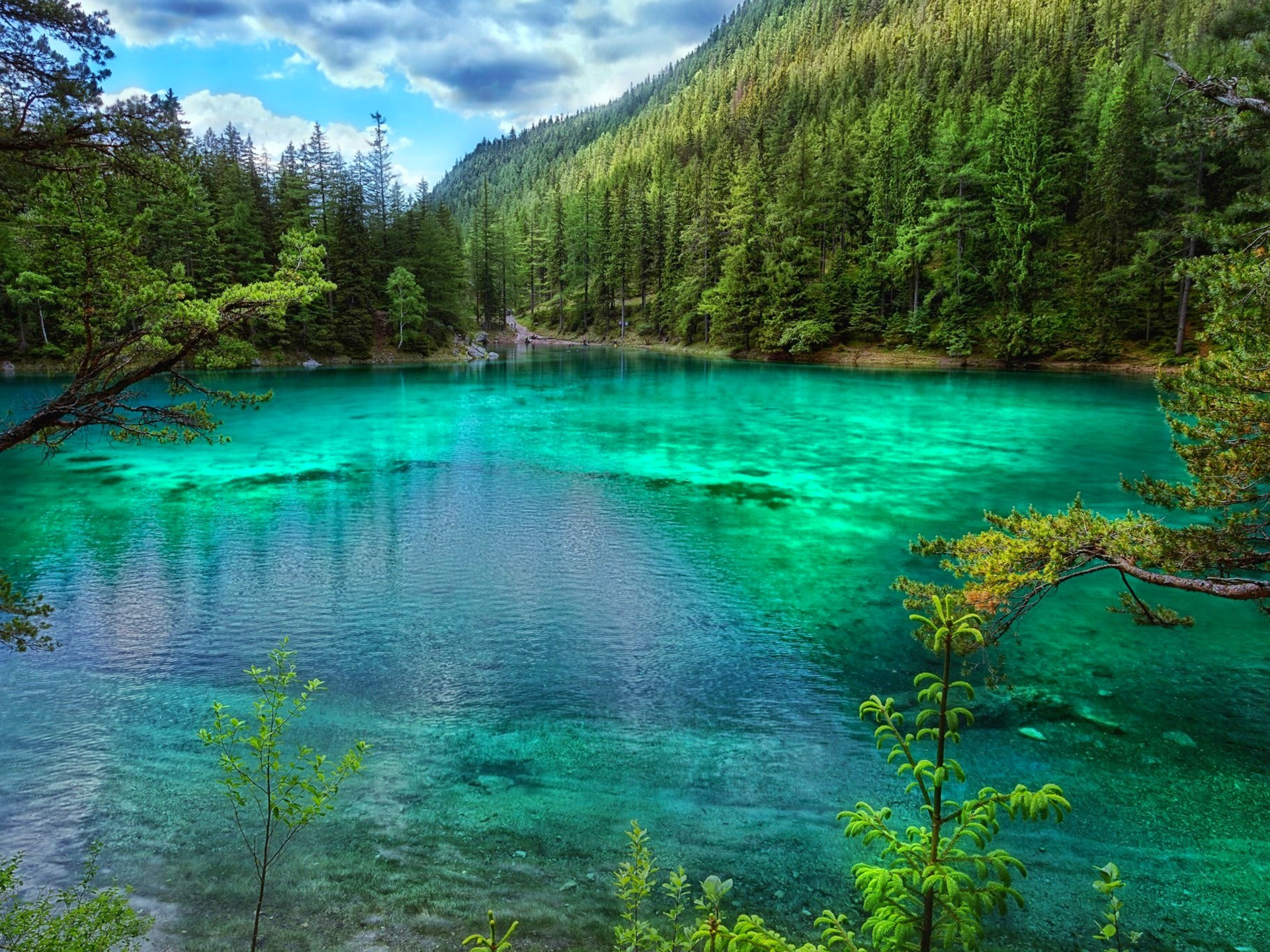 AUT-Green-Lake.jpg