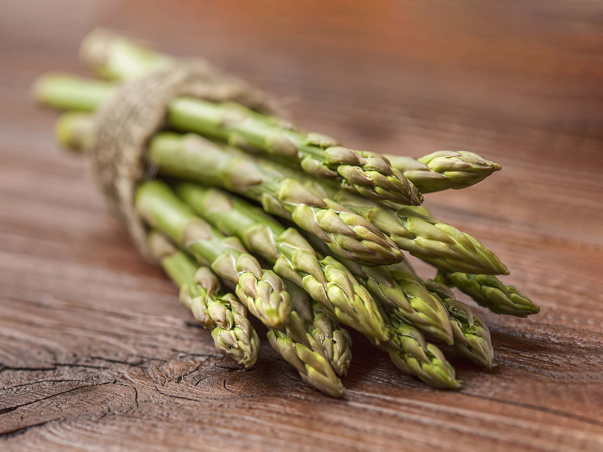 Asparagus-Asparagus_officinalis