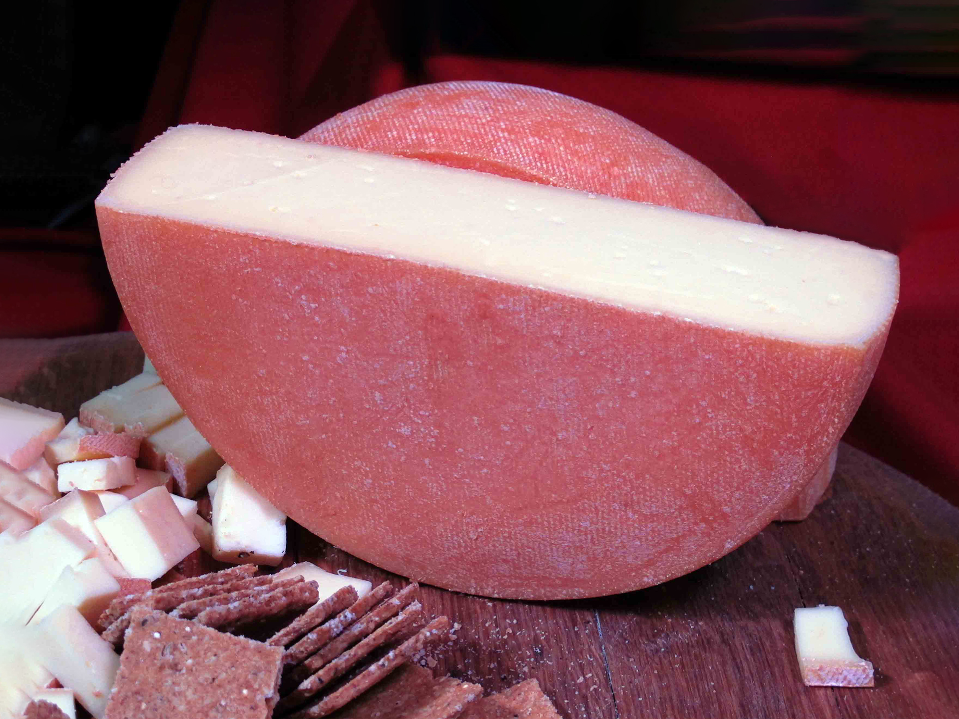 Baluchon-Canada-Cow