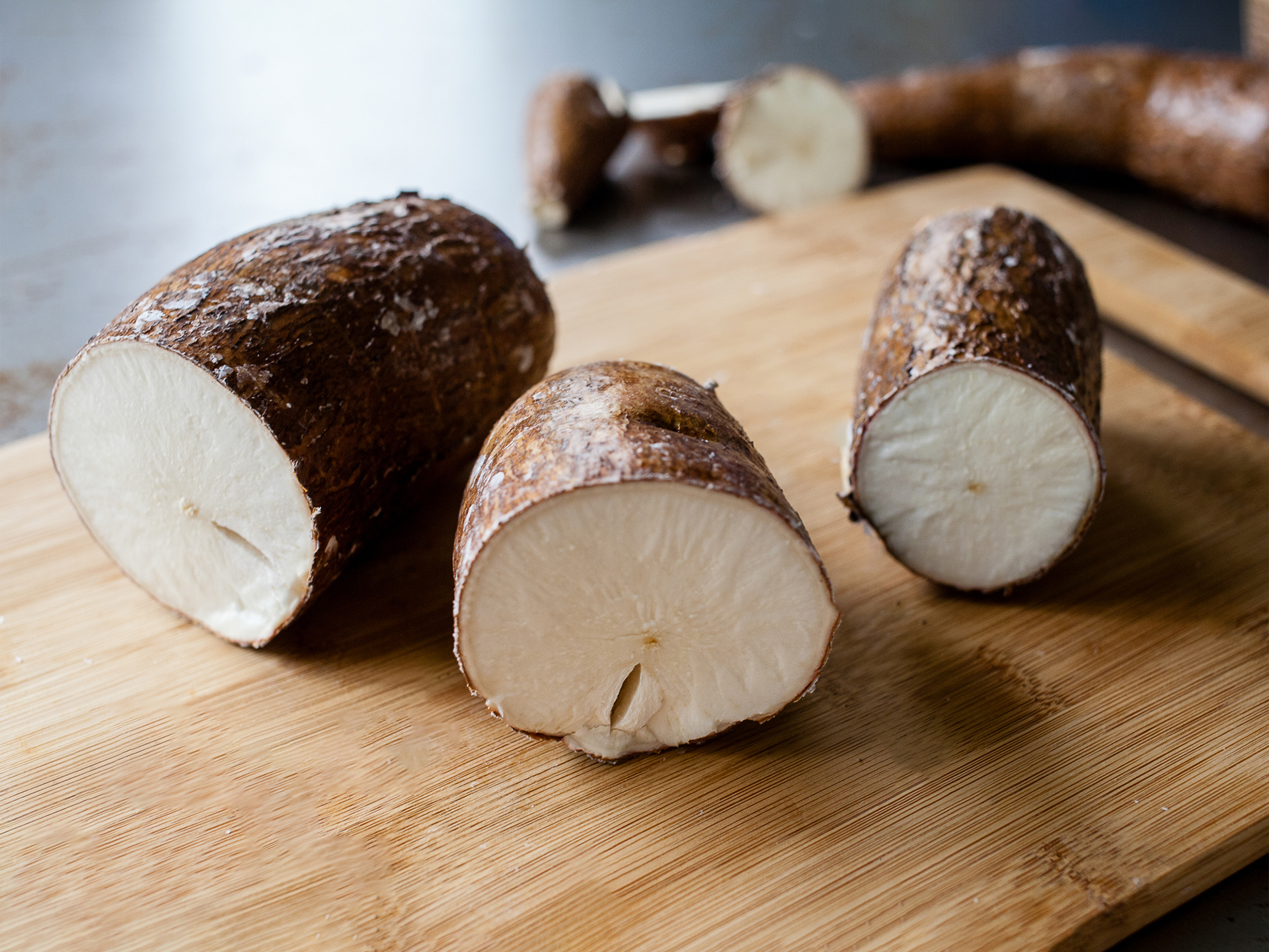 Cassava-Manihot_esculenta
