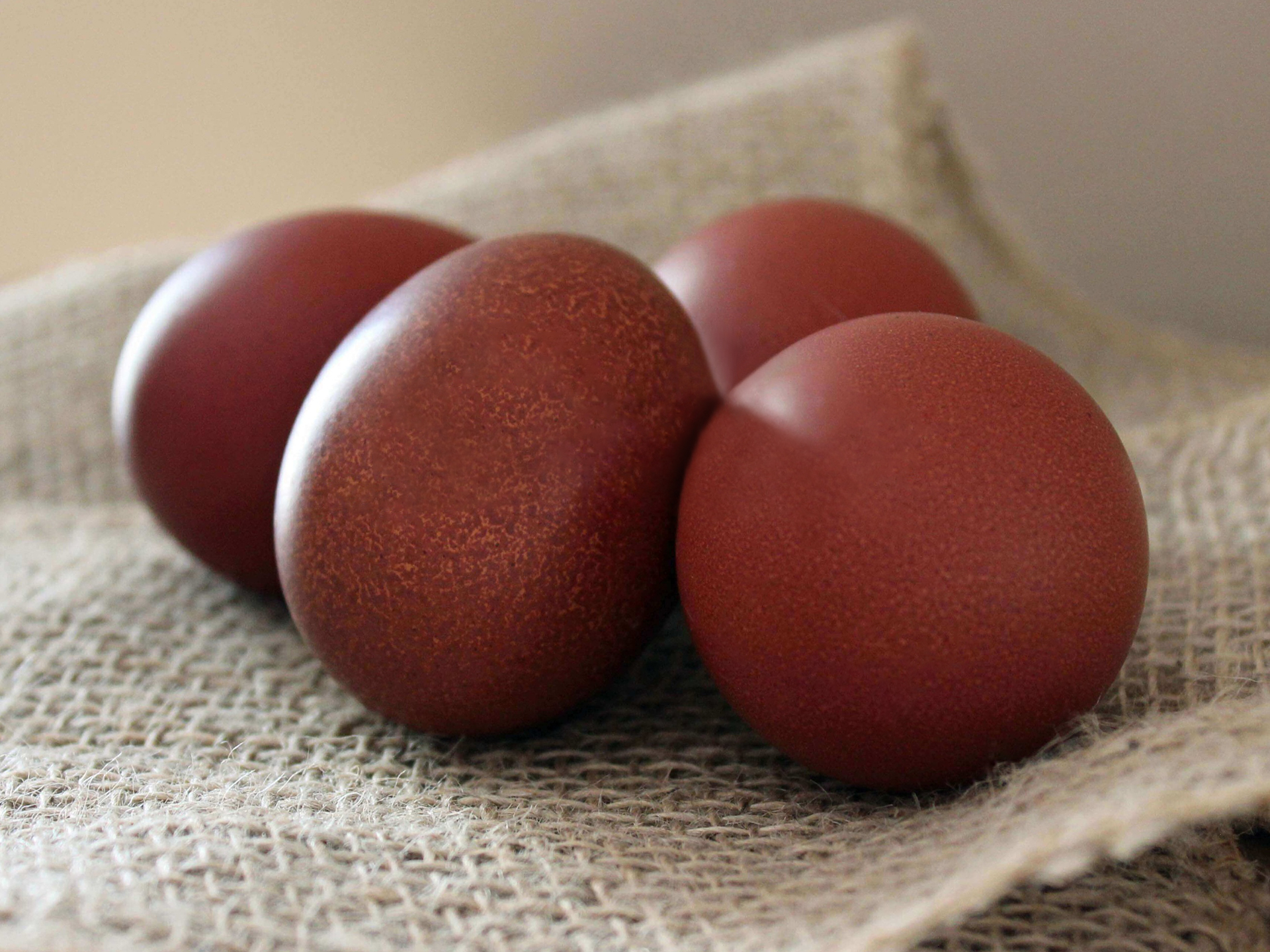 Chicken-Black-Copper-Moran-Eggs