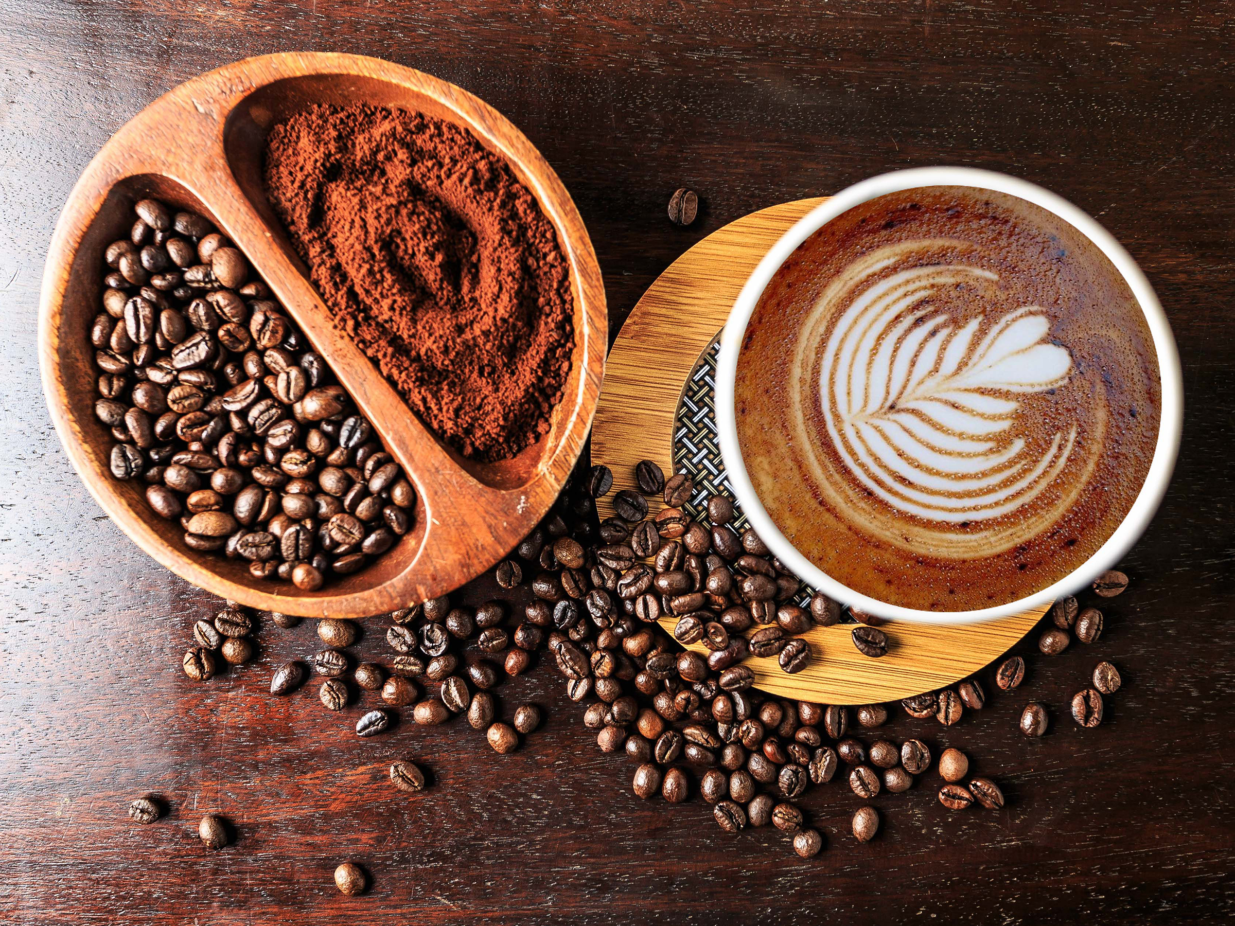 Coffee Coffea arabica.