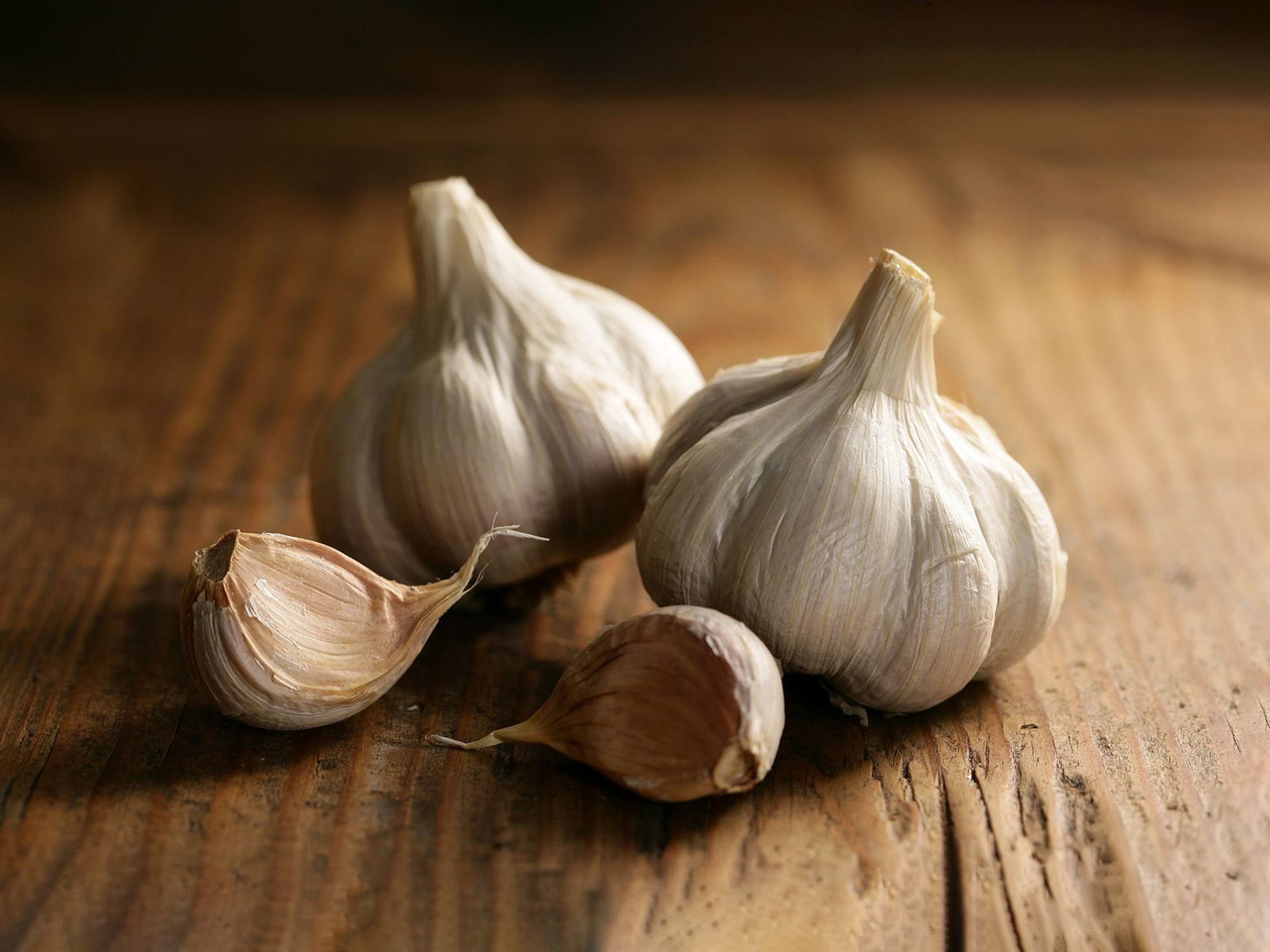 Garlic-Allium_sativum