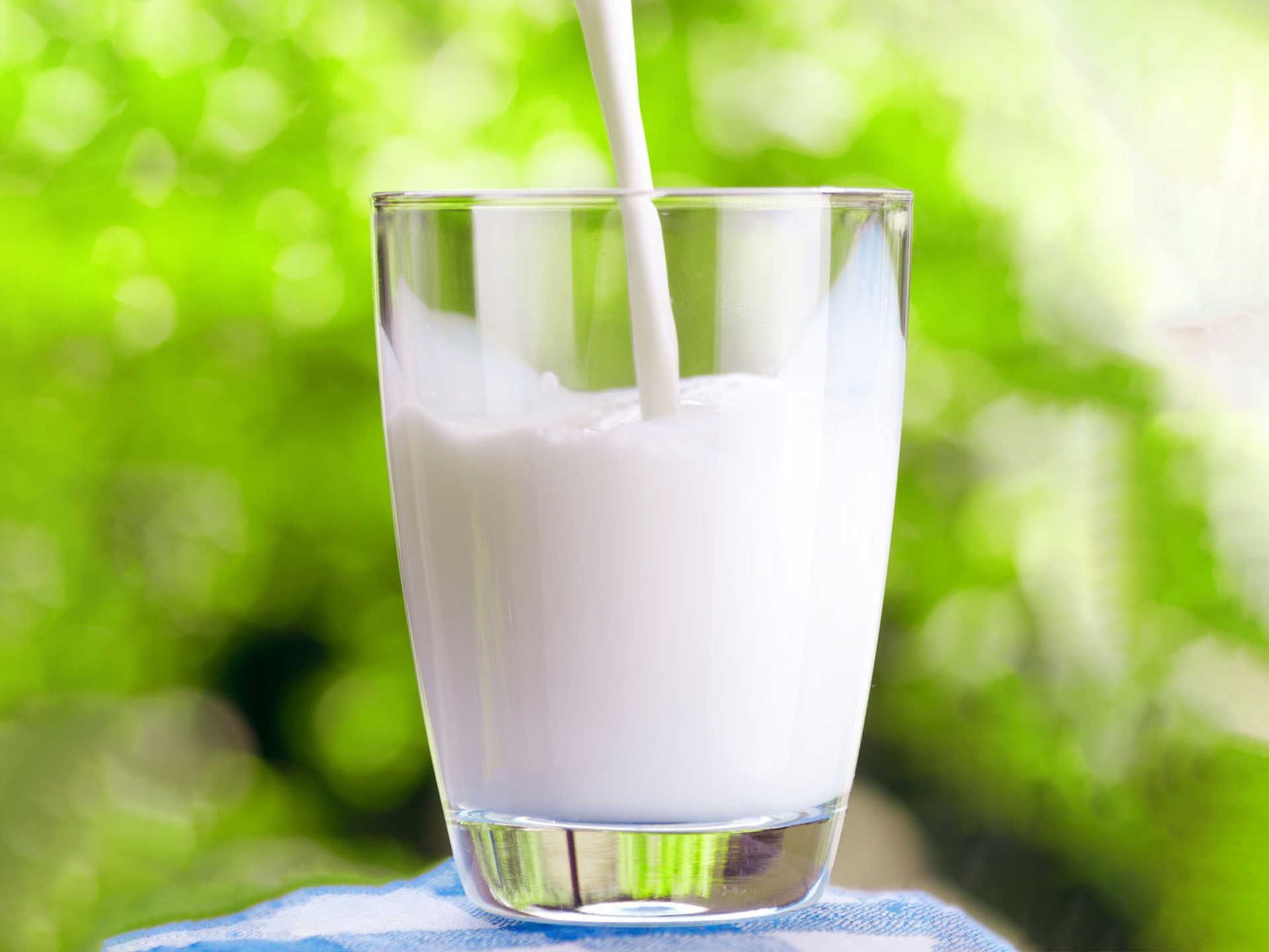 Goat-Nanny-Milk