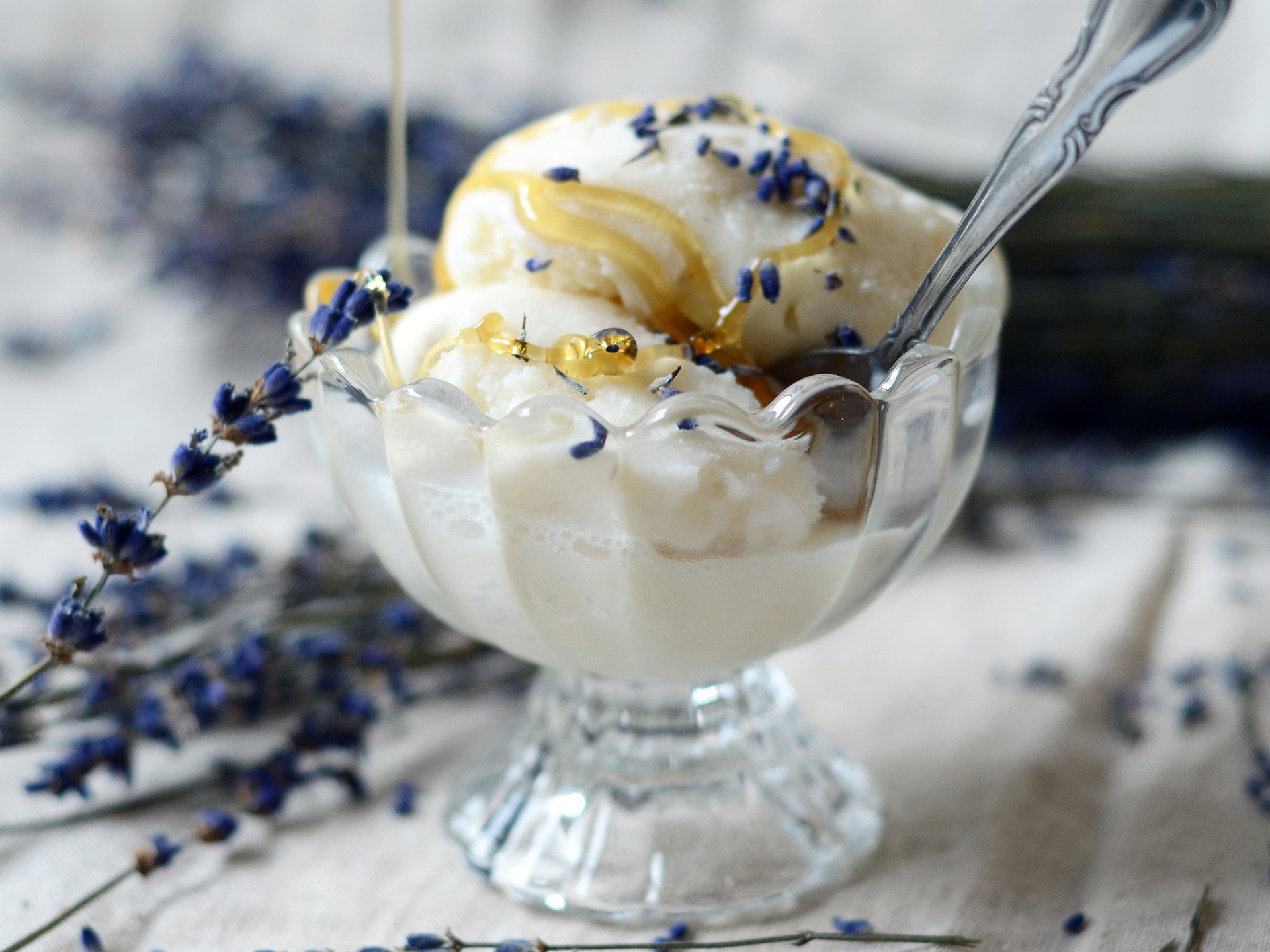 Honey-Lavender-Ice-Cream-USA-Goat