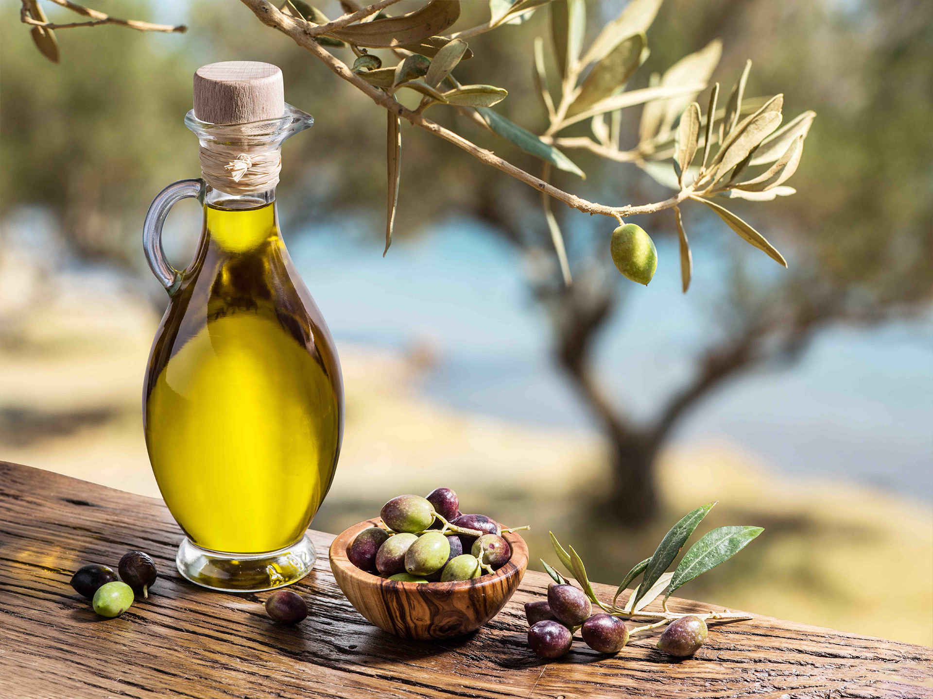 Oil-Olive