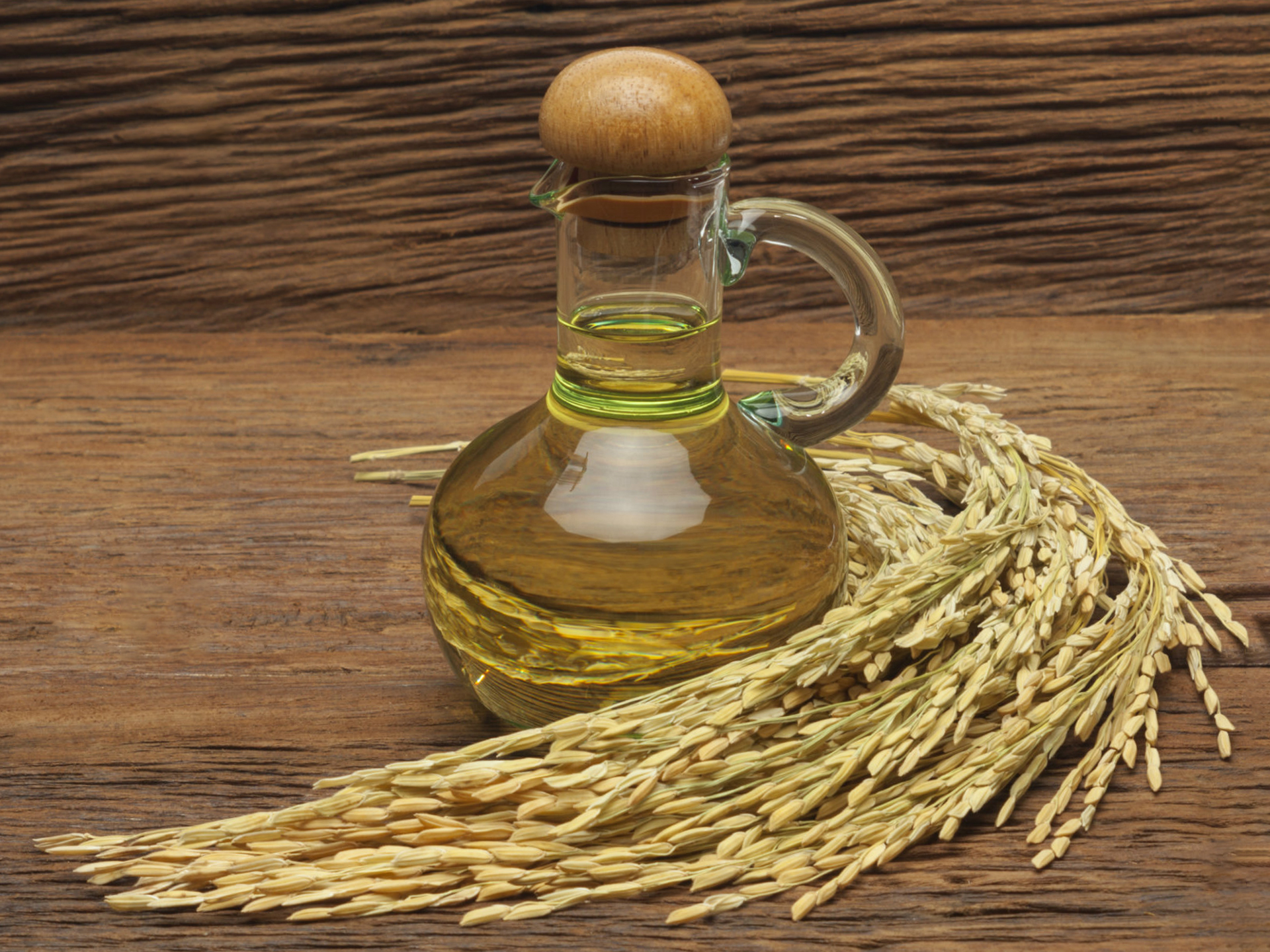 Oil-Ricebran