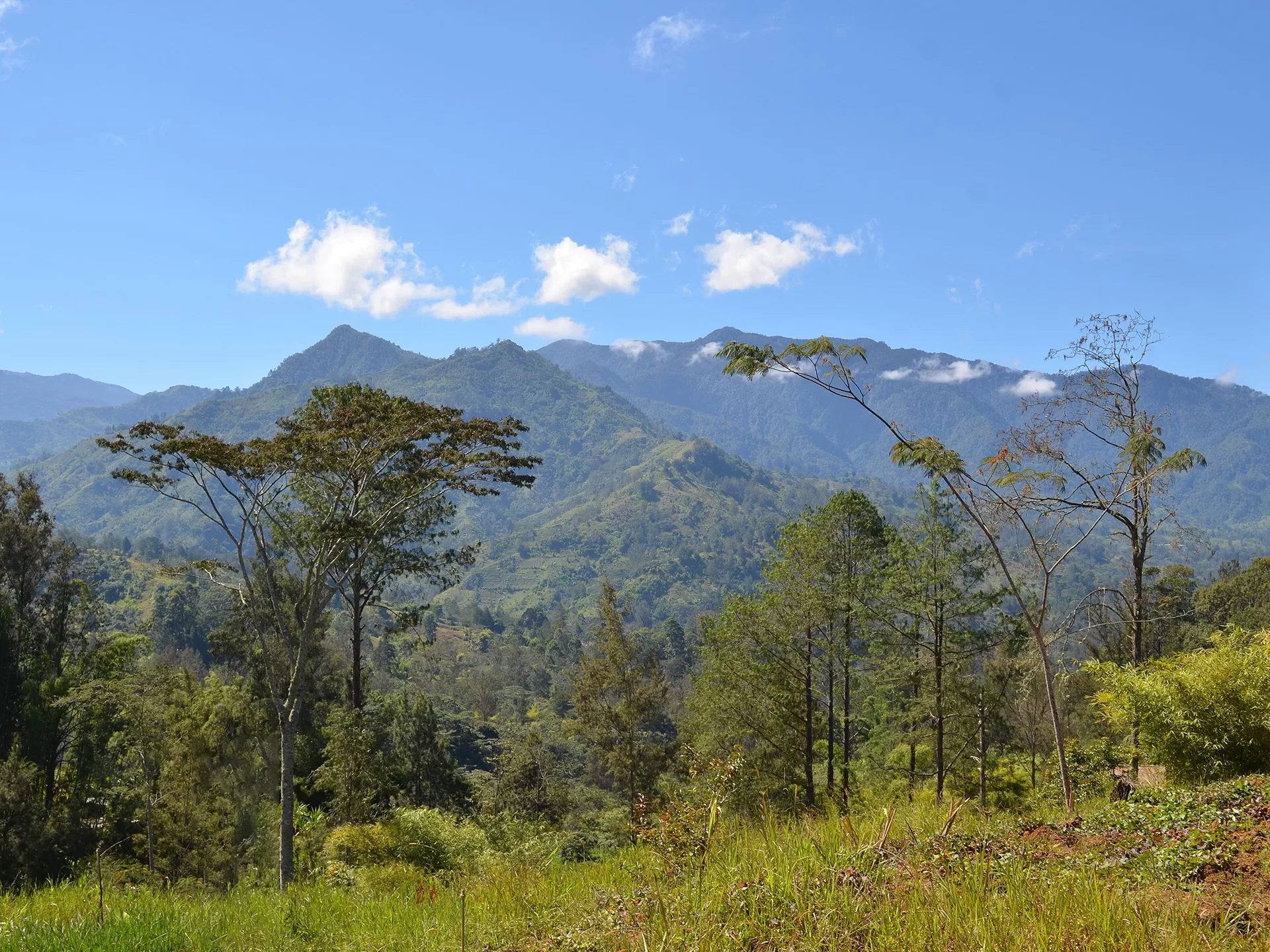 PNG-Highlands