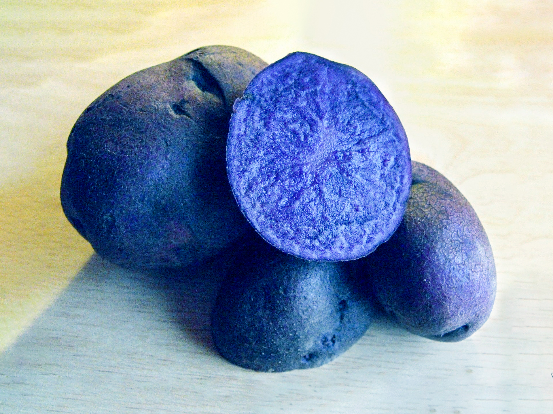 Potato-All-Blue-Solanum_tuberosum