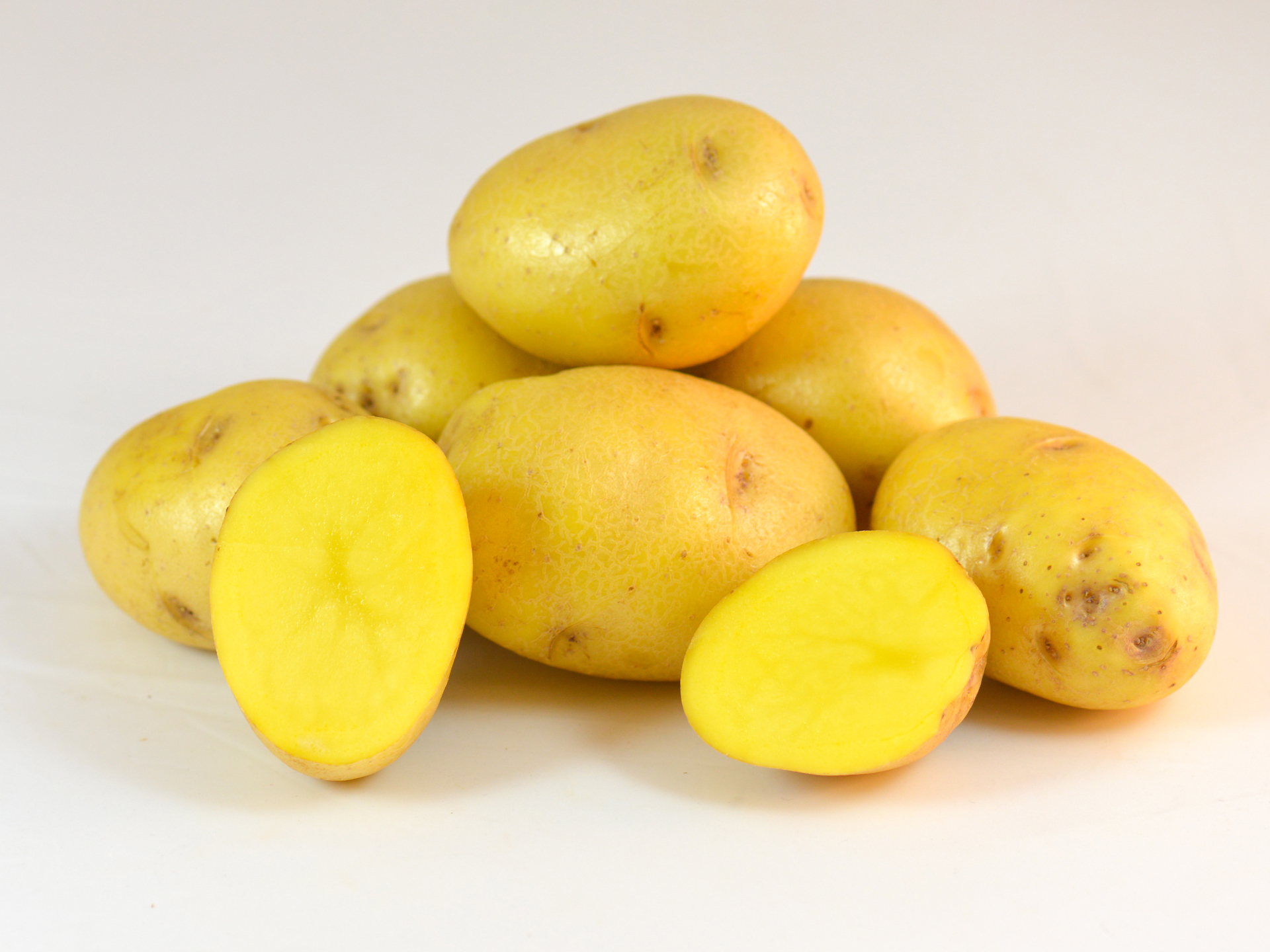 Potato-Fontane-Yellow-Solanum_tuberosum