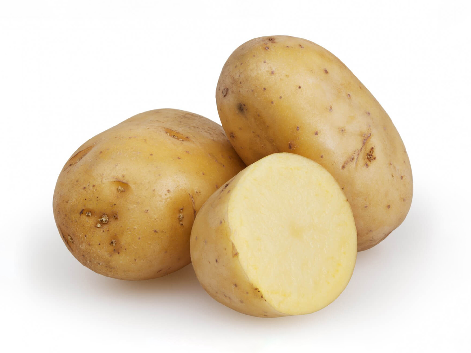 Potato-Russet-Solanum_tuberosum