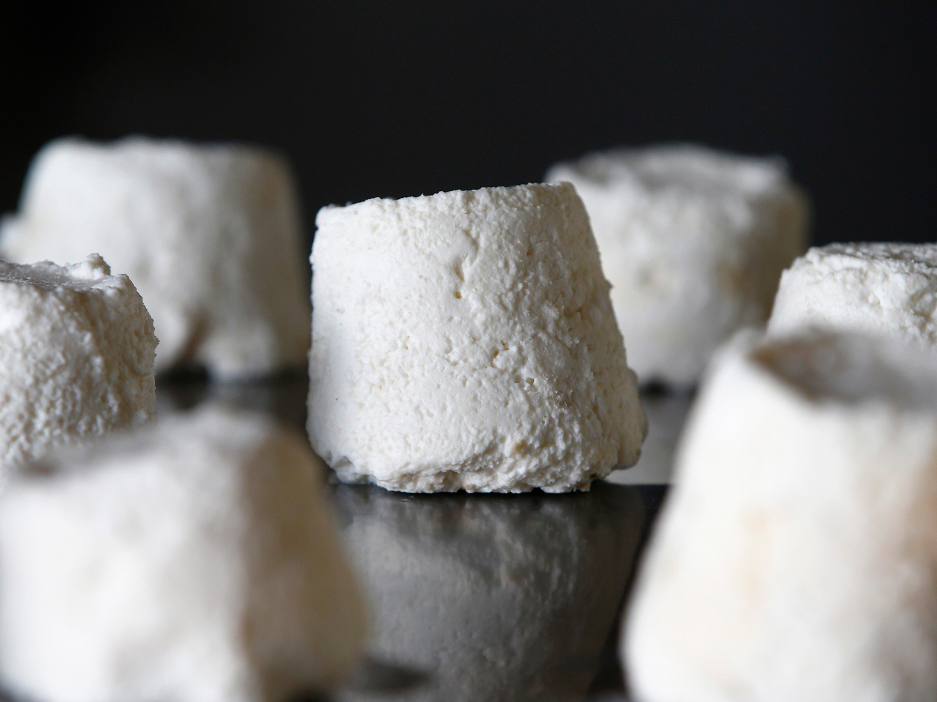 Pule-Cheese-of-Serbia-Donkey