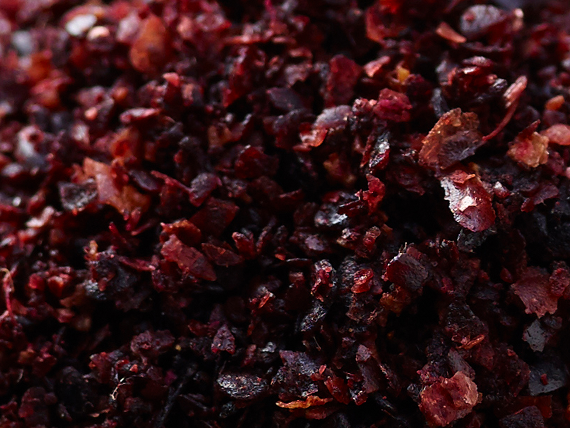 Sumac-Rhus_coriaria
