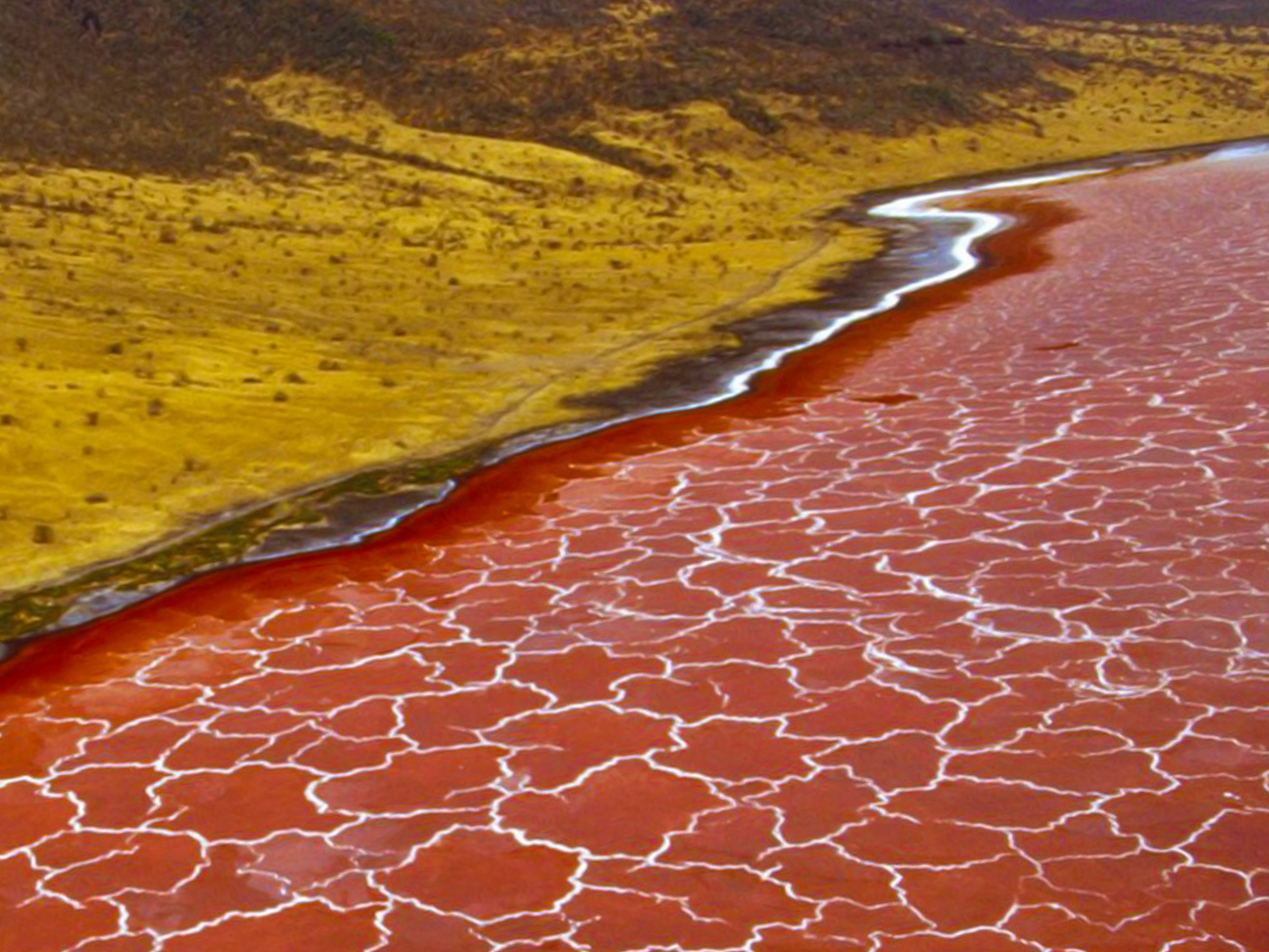 lake natron.