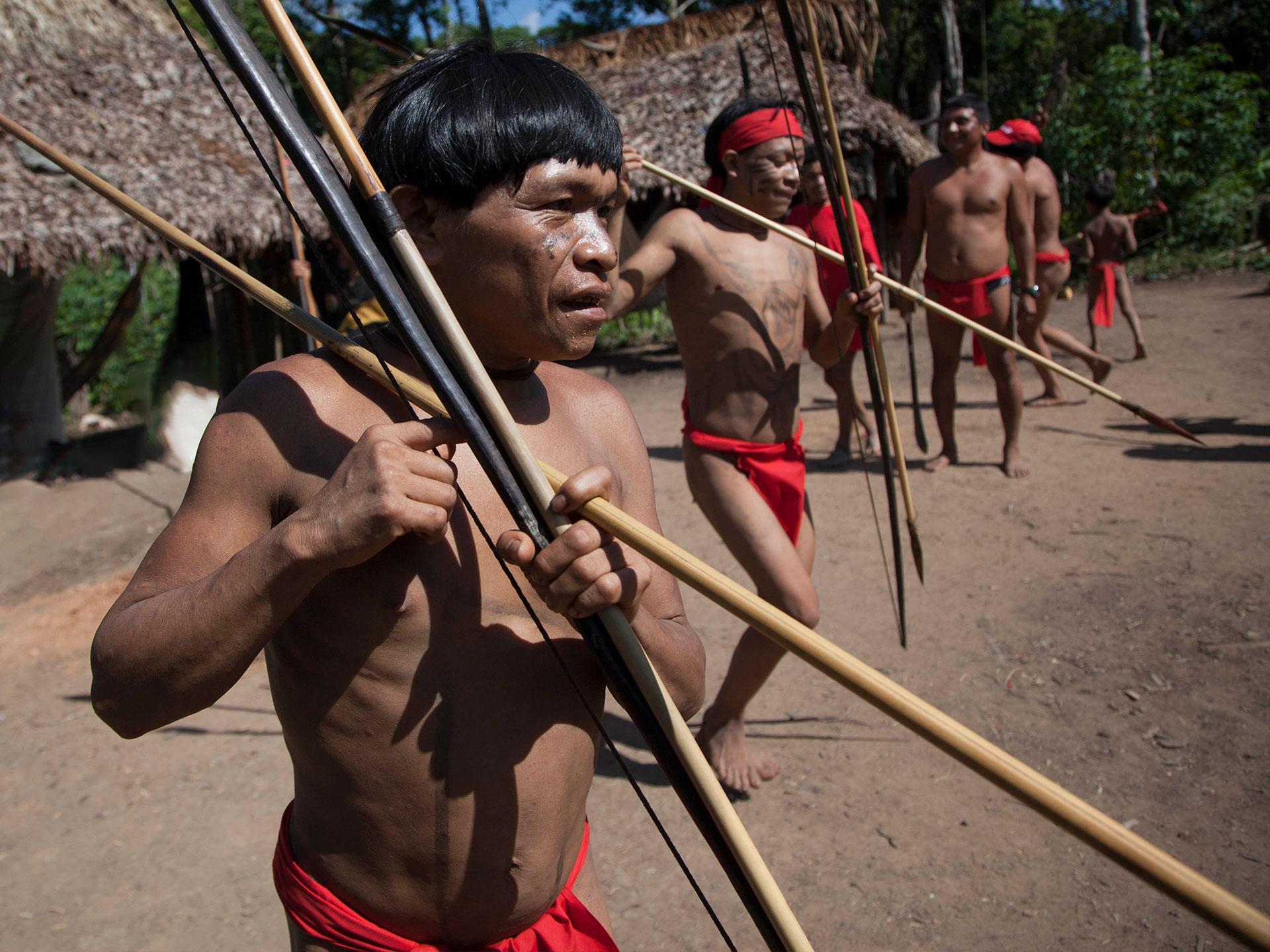Пирахан. Племя в Бразилии Яномами. Индейцы Бразилии яномамо.